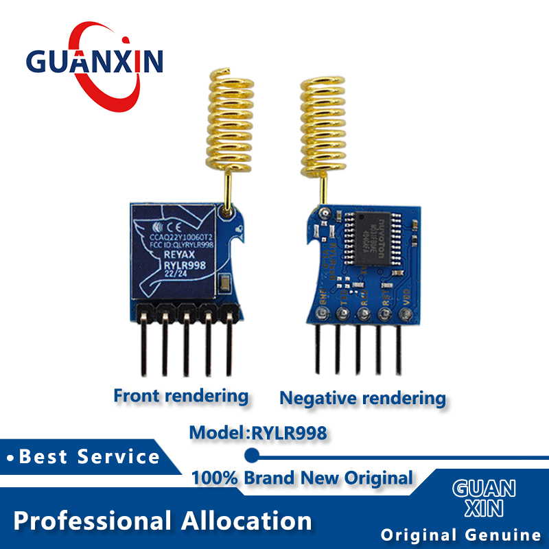 Devkitc - 100 % neue Elektronik Lora RYLR998
